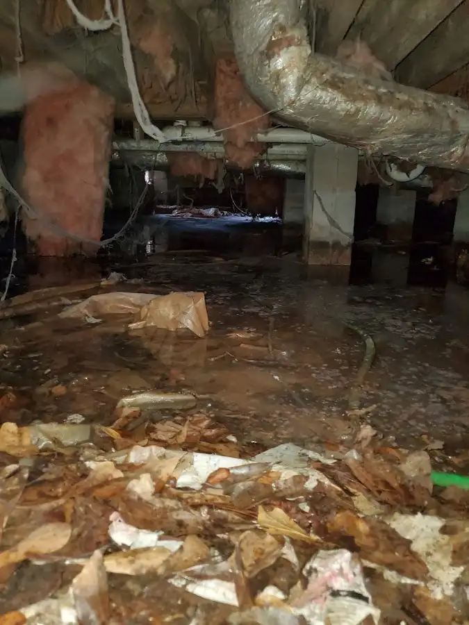 Crawl space flood assessment for Commercial Water Damage Restoration in Vergennes